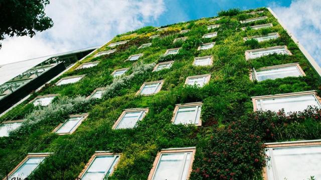 Jardín vertical creado por Solano en Colombia.