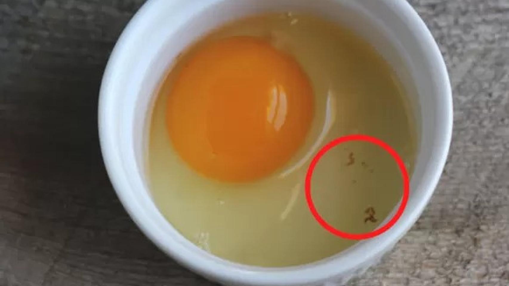 Manchas marrones en los huevos.