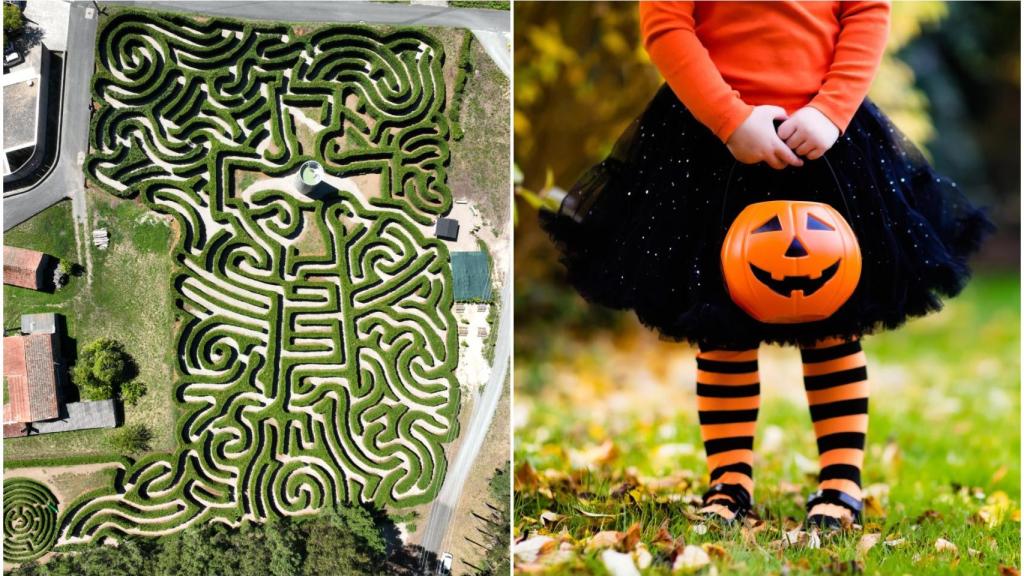 Labirinto de Breoghán