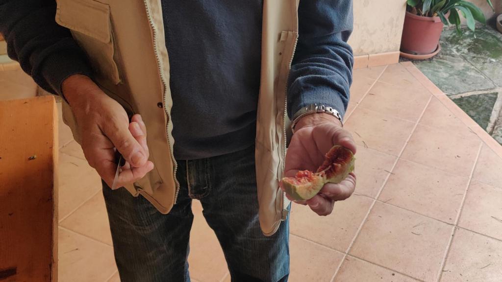 Montserrat Pons enseña los higos de su finca.