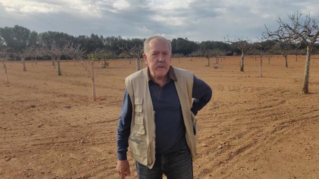 Montserrat Pons en Son Mut Nou, la mayor finca de higueras del mundo.