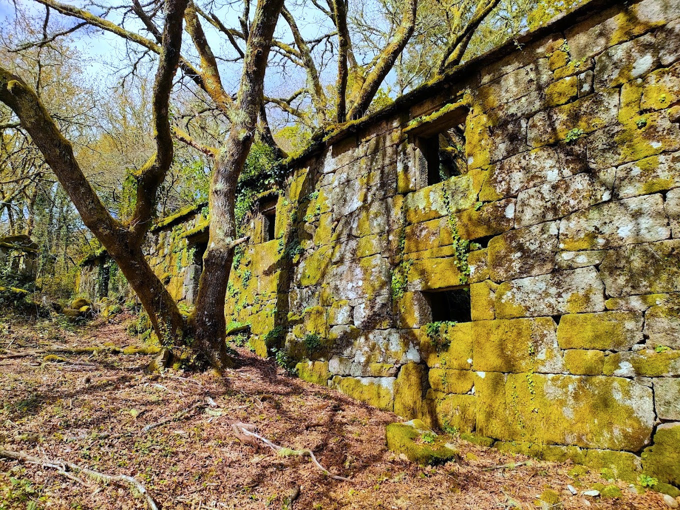 Entorno de la Casa da Peste. Foto: Google Earth