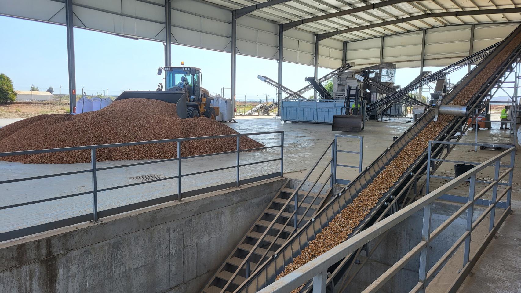 Planta de tratamiento de almendras de Dcoop.