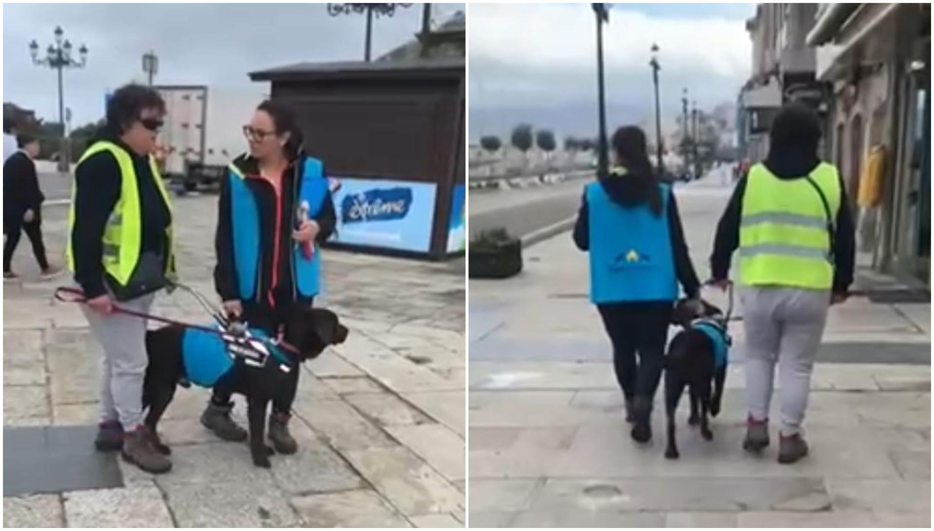 Lola con Toxo, su perro guía en formación (cedidas)