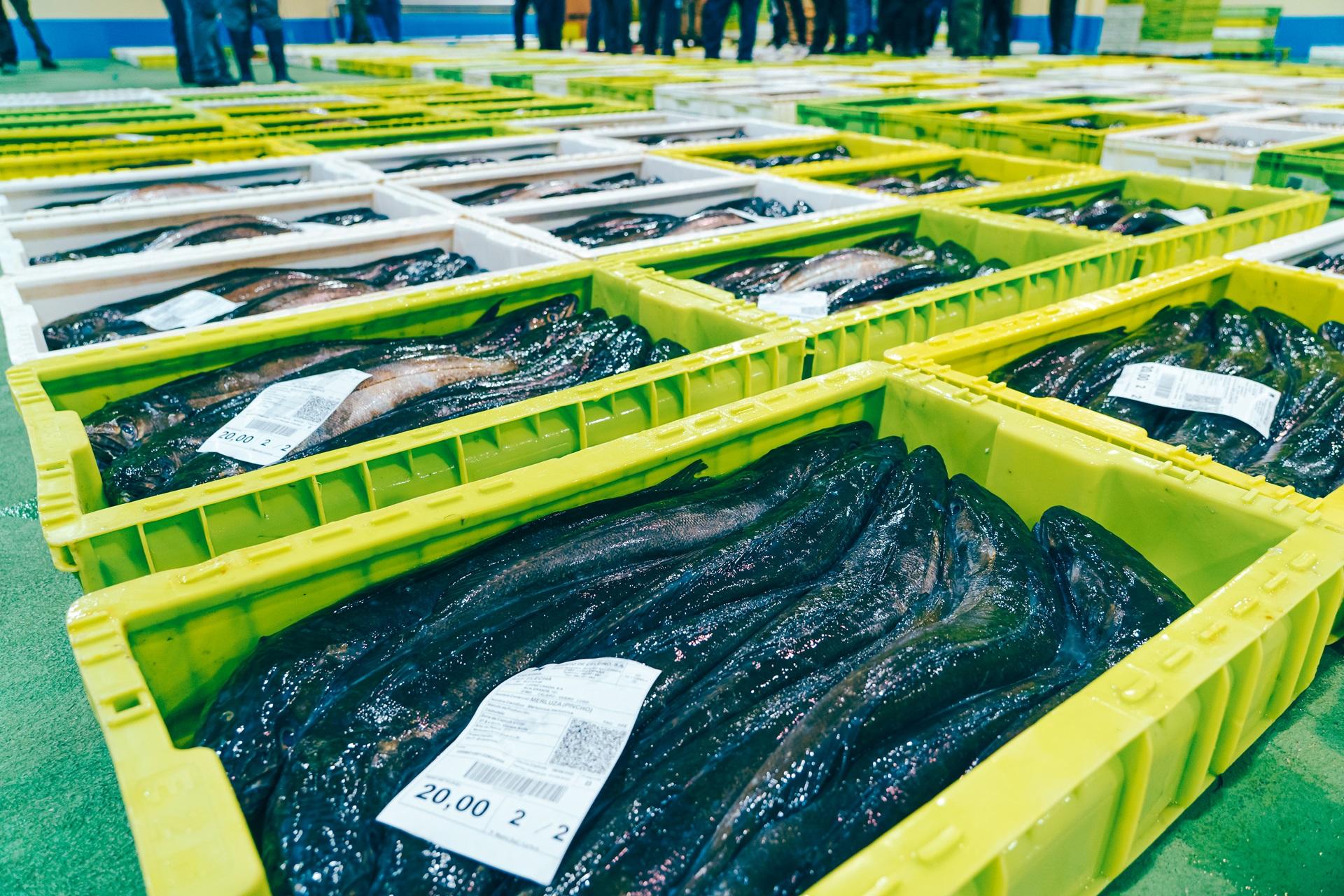 Descarga de mercancía en Puerto de Celeiro.