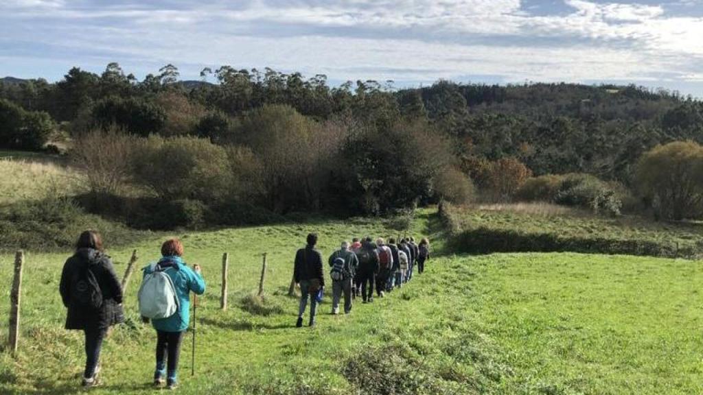 Ferrol promueve inmersiones en el bosque como medicina para mejorar la salud y la empatía