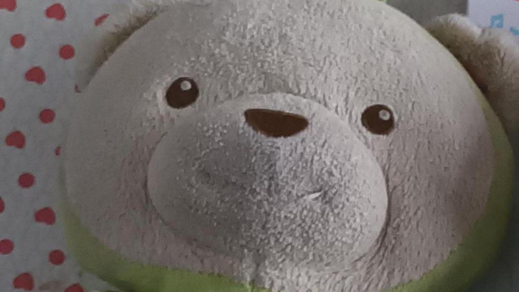 Se busca a Teddy: El peluche perdido de una niña de A Coruña sin el que no puede dormir