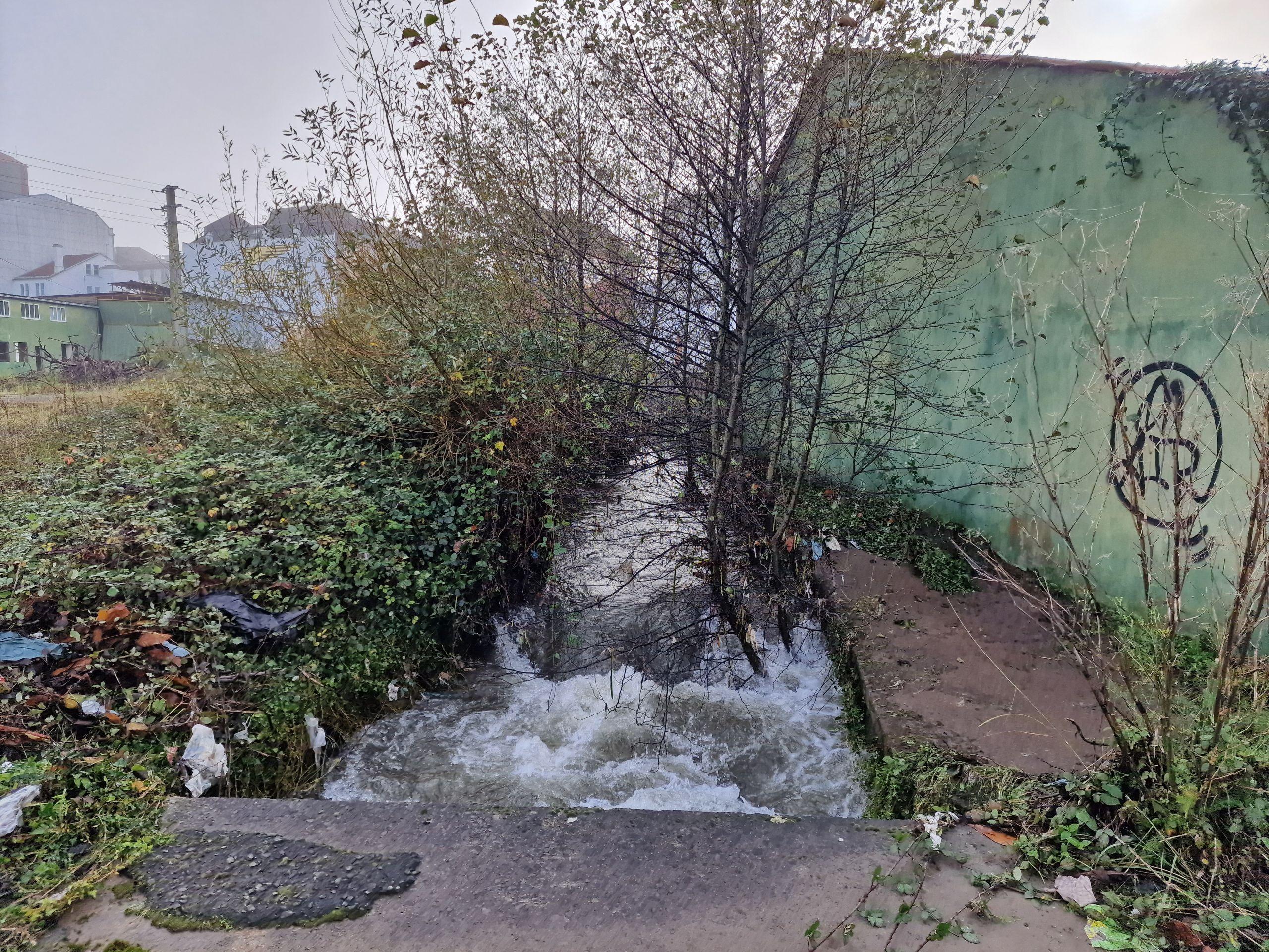 La parcela, antes de la intervención municipal