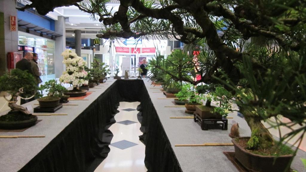 Se usó para branded en Los Rosales