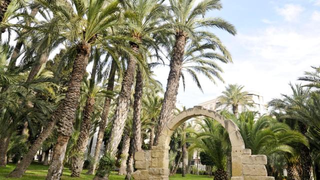 Parque Municipal de Elche.