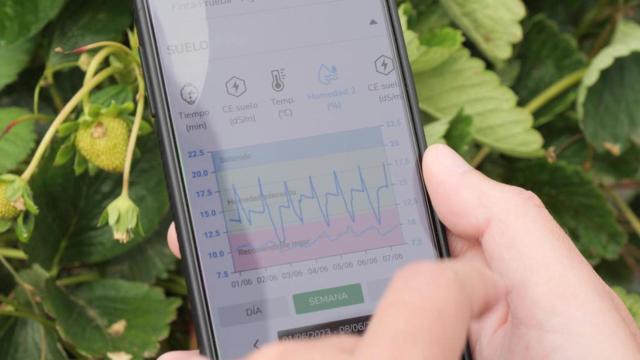 La app SensaCultivo promueve una gestión eficiente del agua.