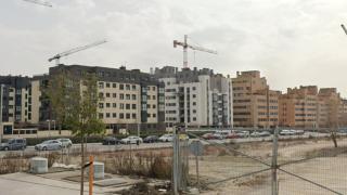 Una zona de El Cañaveral.