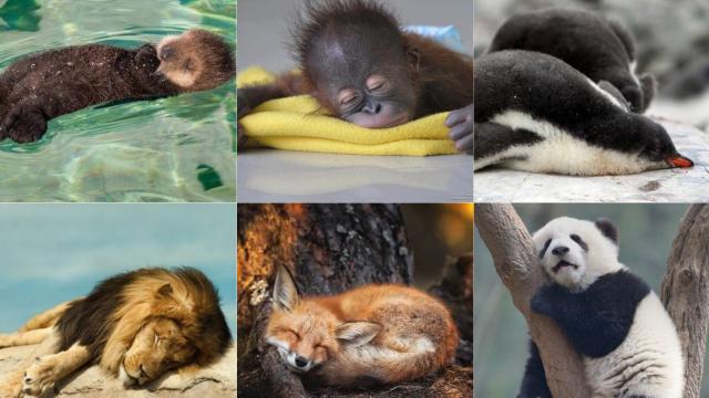 Diseño sin título (25)