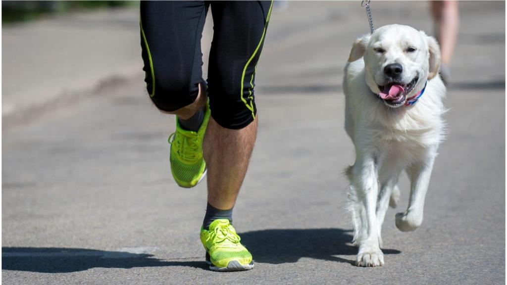 La CanSilvestre de A Coruña vuelve a ampliar plazas ante la gran demanda recibida