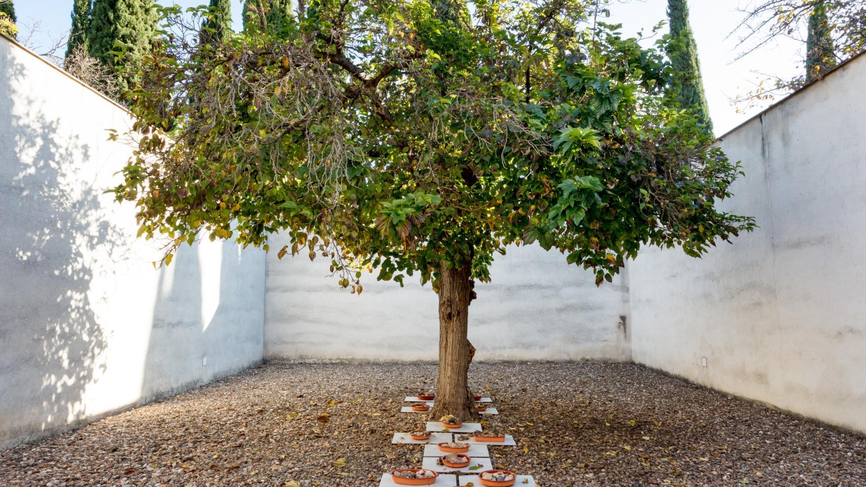 Instalación realizada específicamente para el patio del CAAC