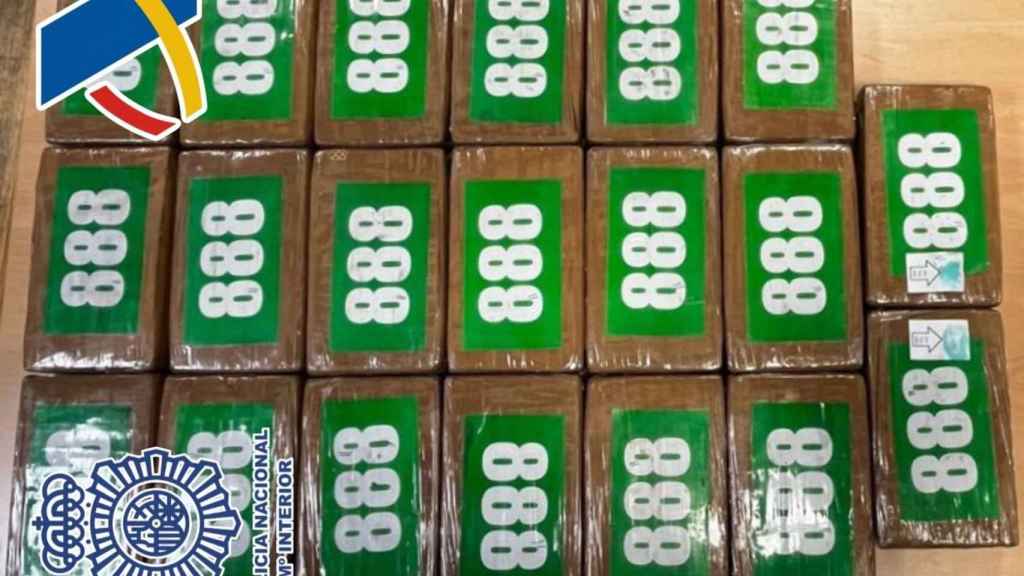 Droga incautada en un contenedor de pescado congelado.