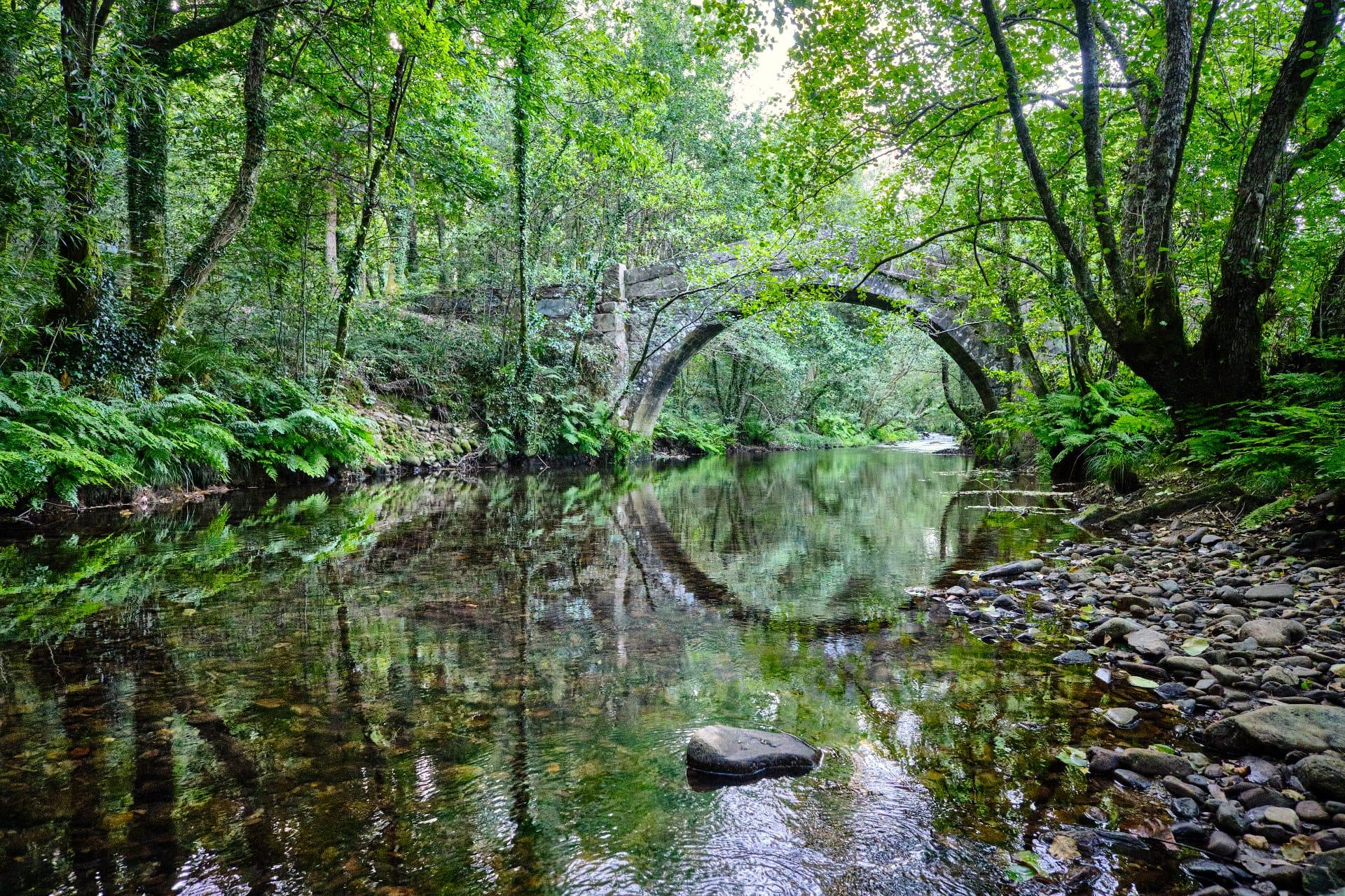 Paseo fluvial por el río Tins a la altura del Ponte do Ruso. Foto: Concello de Outes