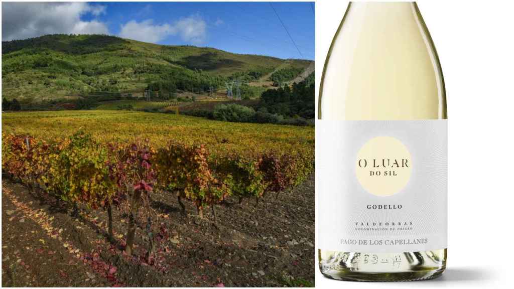 Viñedos en Valdeorras, a la izquierda, y una botella de vino de la marca premiada, a la derecha.