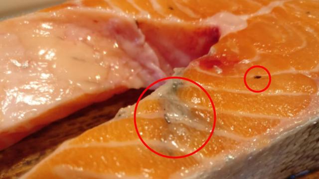Manchas oscuras en el salmón.