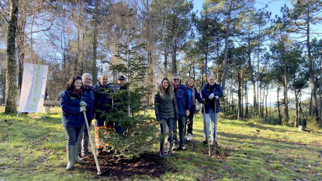 Imagen del acto de replantación de los abetos en Beade.
