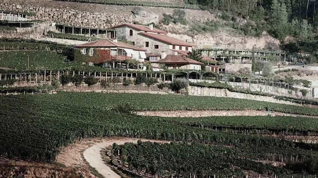 Finca A Vilerna, en Ourense.