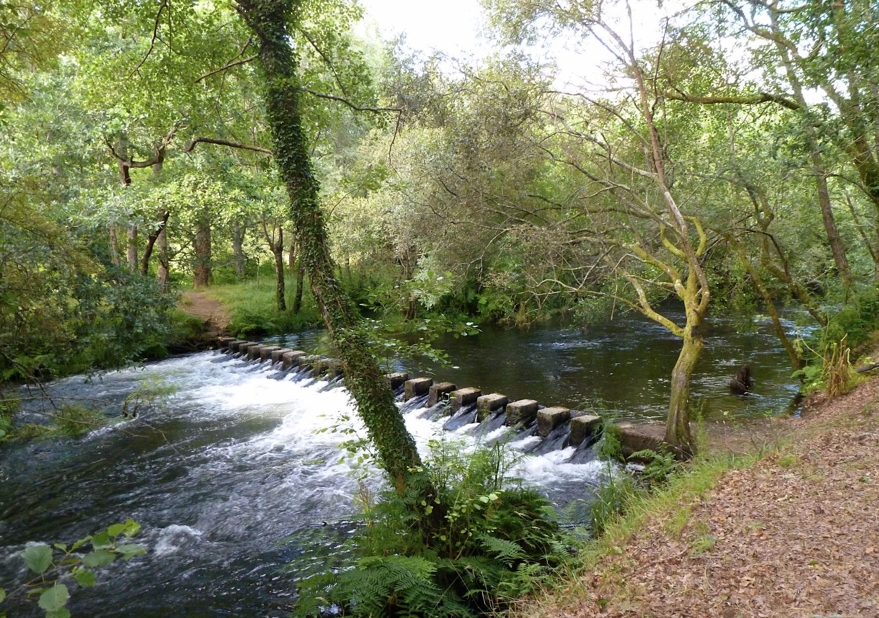 Área Recreativa Islas de Gres, Vila de Cruces.  Foto: Turismo Rías Baixas