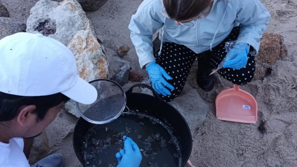 Imagen de la primera recogida de pellets.