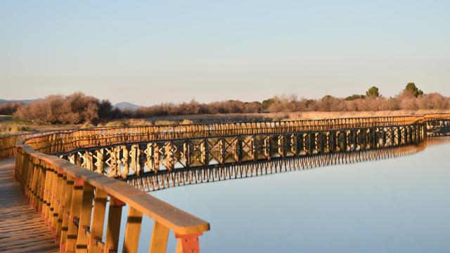 Tablas de Daimiel. Foto: Ayuntamiento de Daimiel.