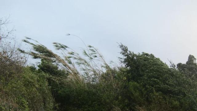 El fuerte viento en Castilla y León provoca más de 150 llamadas de emergencias