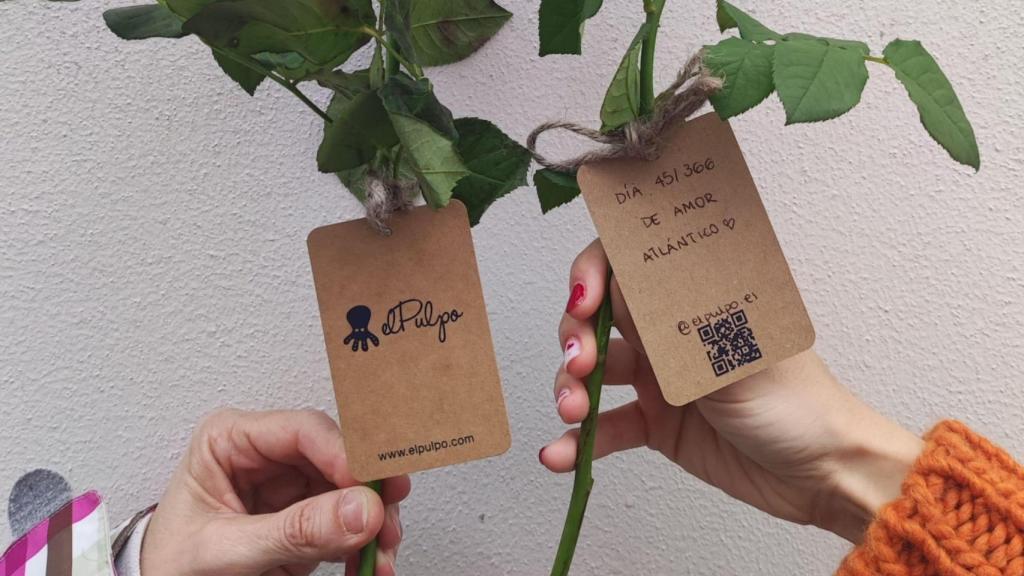 elPulpo llena el centro de A Coruña de rosas rojas por San Valentín