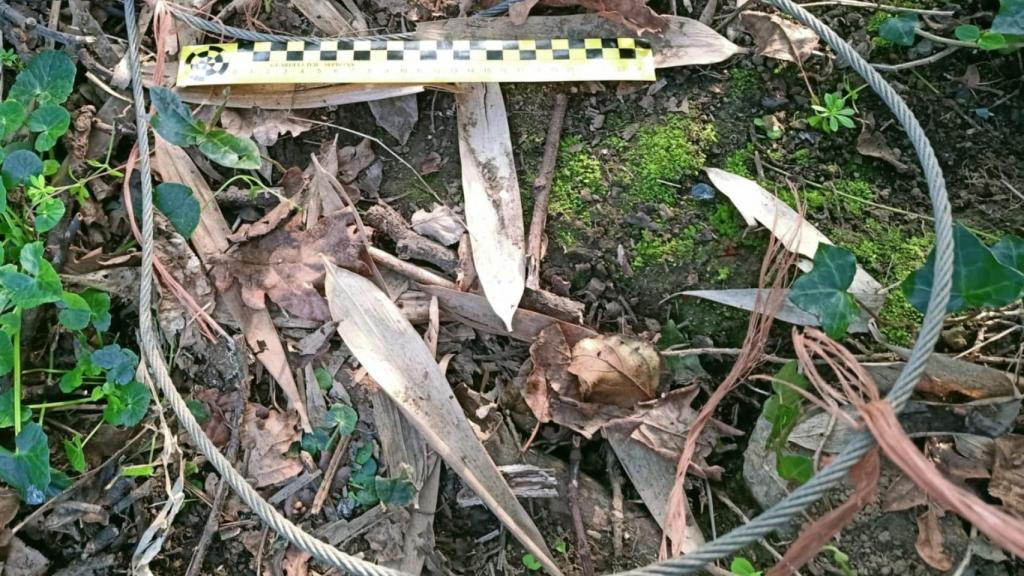 Investigado en Cambre (A Coruña) por usar un lazo de acero con nudo corredizo para cazar