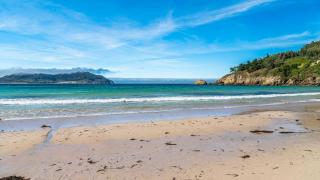 La isla más al norte de Florida que parece una estampa del Caribe: se le conoce como Costa Esmeralda