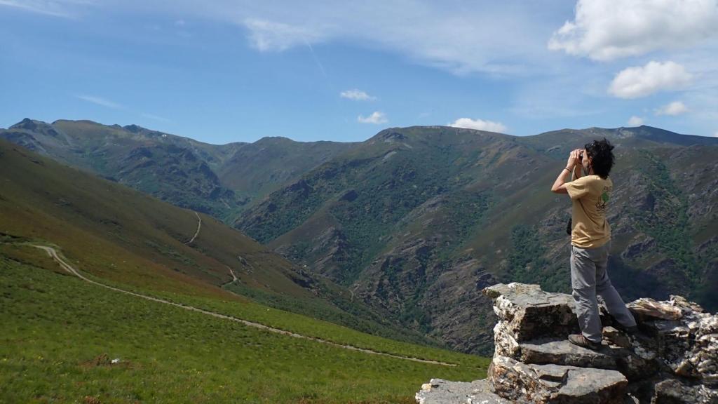 Varias de las actividades de Eco dos Teixos (Cedidas).