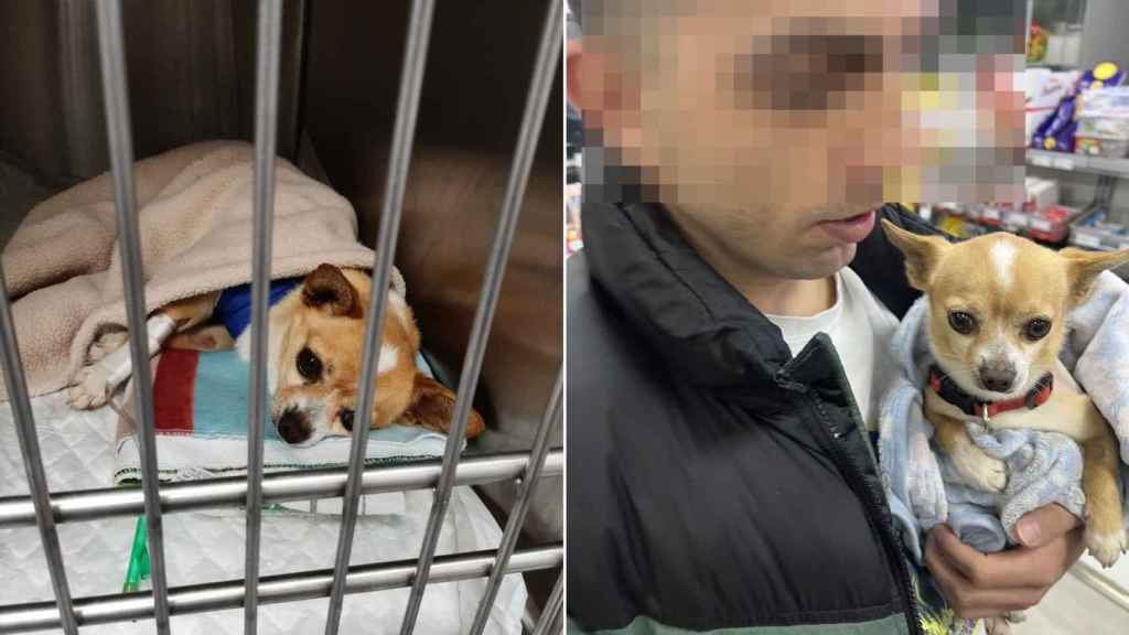 Toco, el perro abandonado en un contenedor y el joven que lo rescató.