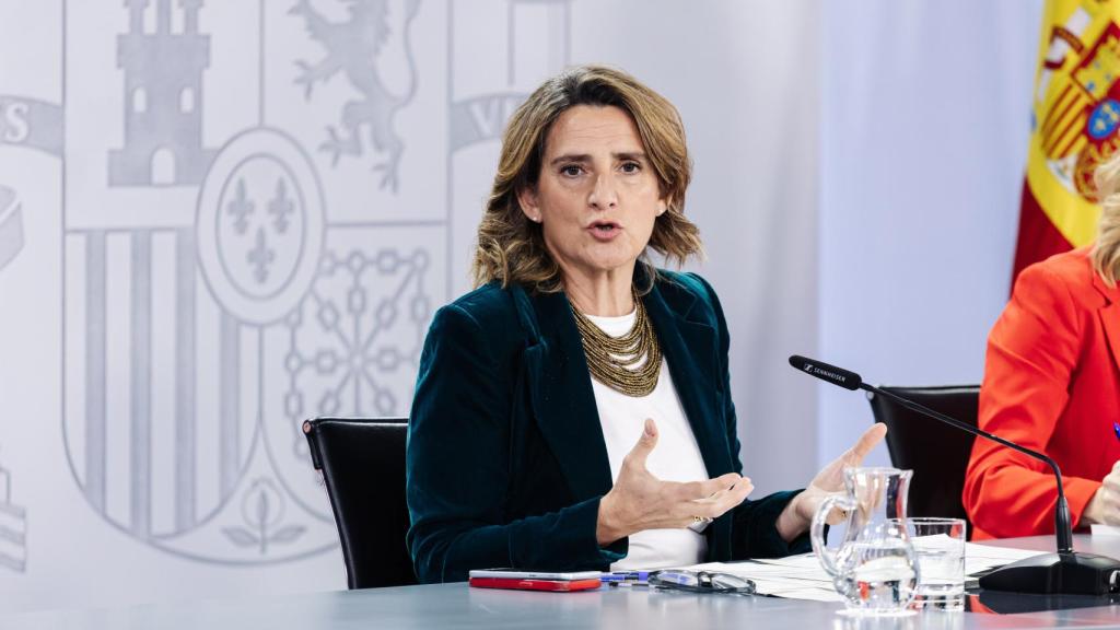 La vicepresidenta tercera, ministra para la Transición Ecológica y candidata a las europeas, Teresa Ribera.