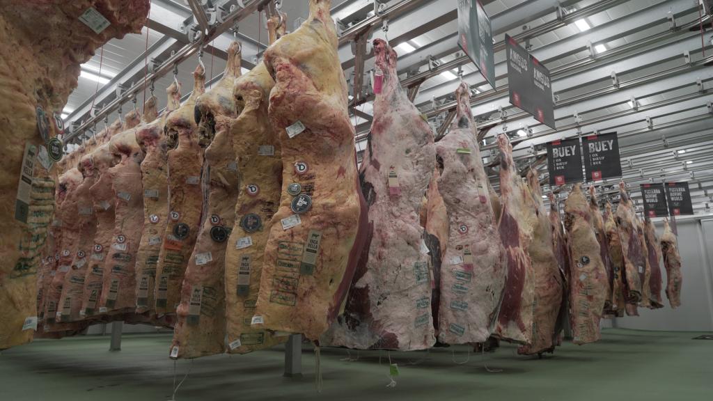 La nueva nave de Discarlux en Vallecas.