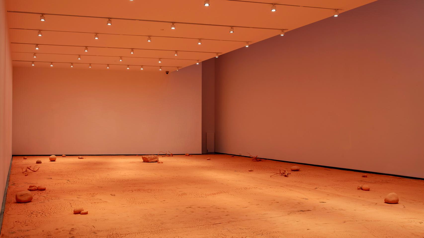 'Habitar el color', 2024. Foto: © Joaquín Cortés / Museo Helga de Alvear