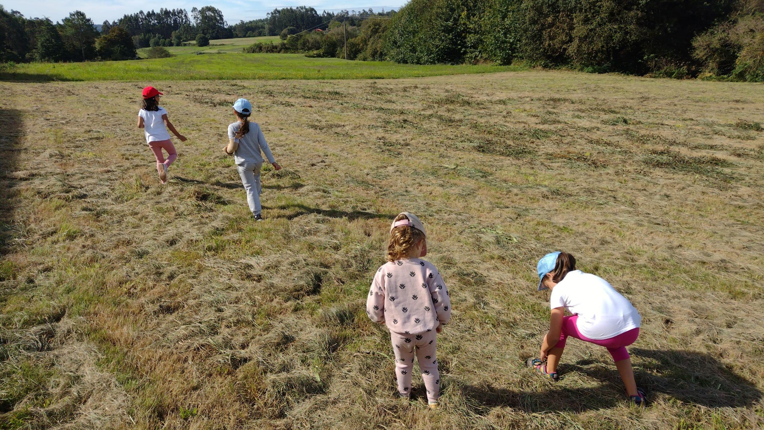 Alumnos del CEIP de Torres en una excursión.