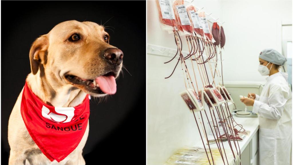 La perrita Mel y las instalaciones del BSA en Cataluña