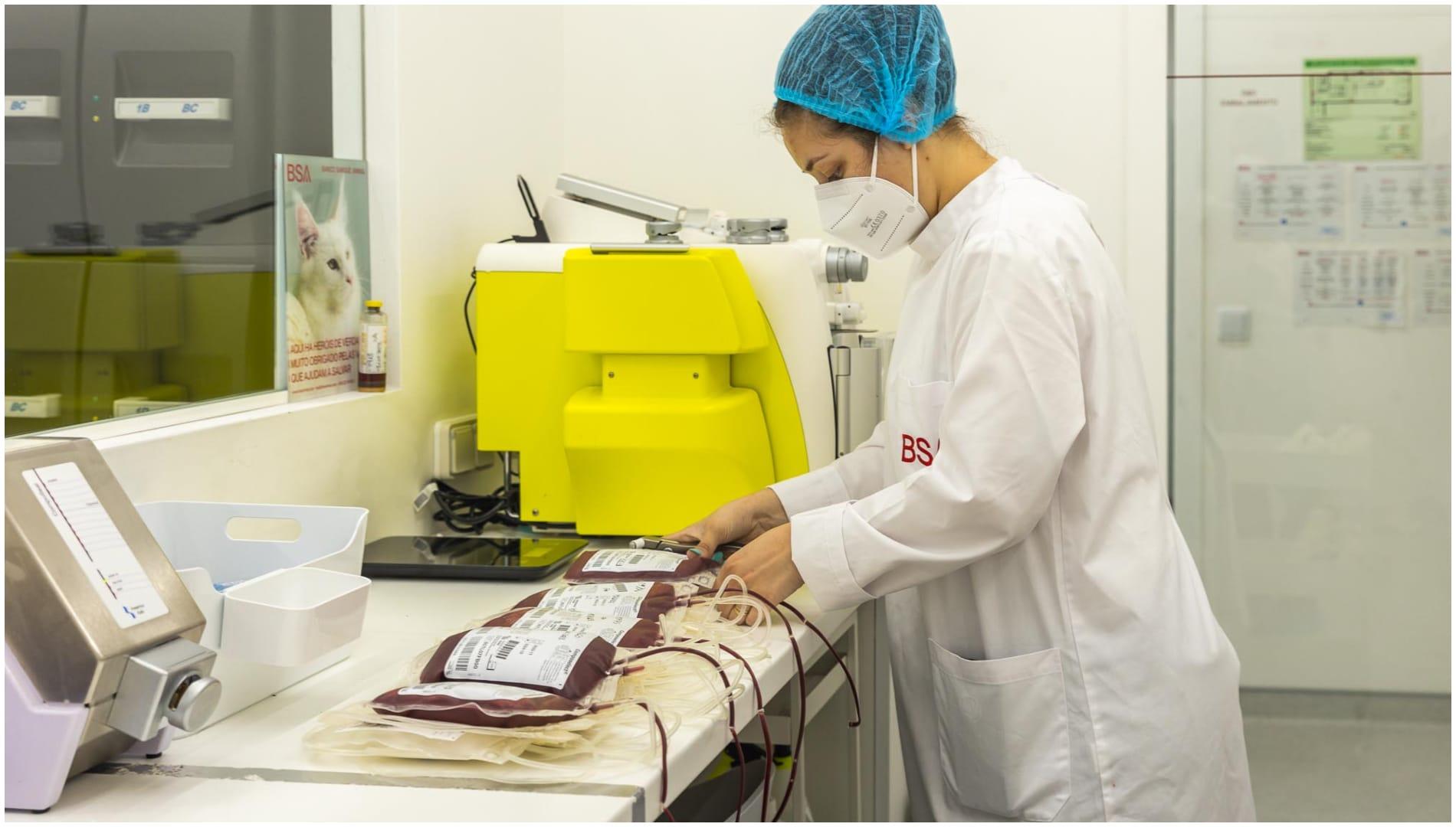 Instalaciones del BSA (foto: cedida)