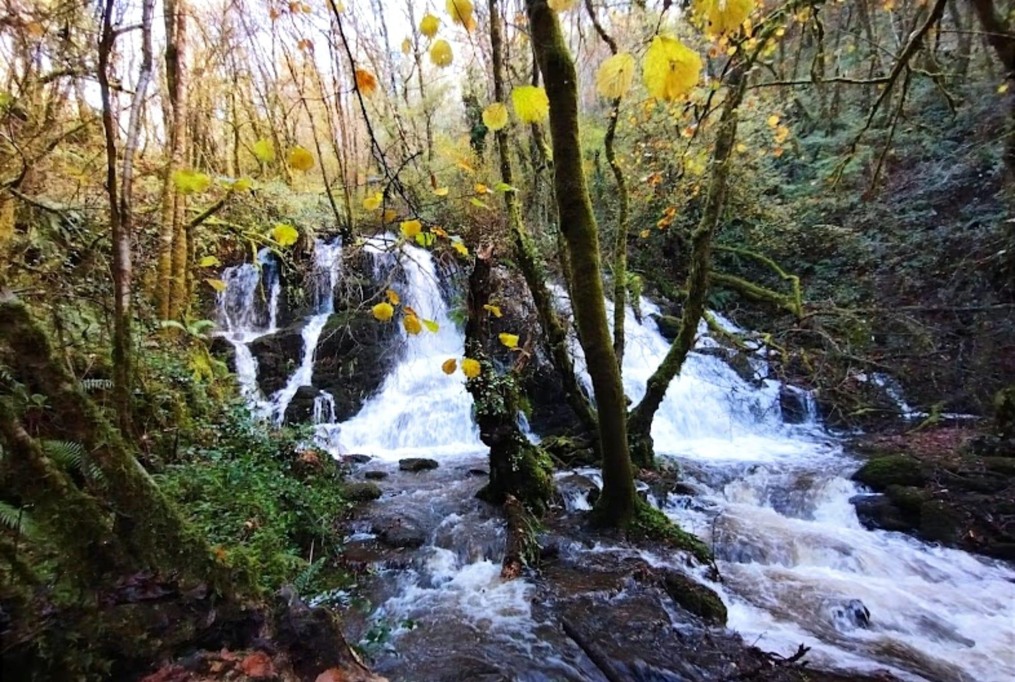 Entorno de la Fervenza da Rexidoira. Foto: Google Earth