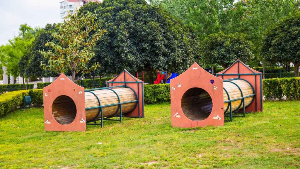 Parque para perros en una imagen de archivo.