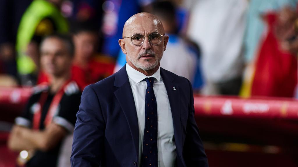 Luis de la Fuente, en un partido de la Selección