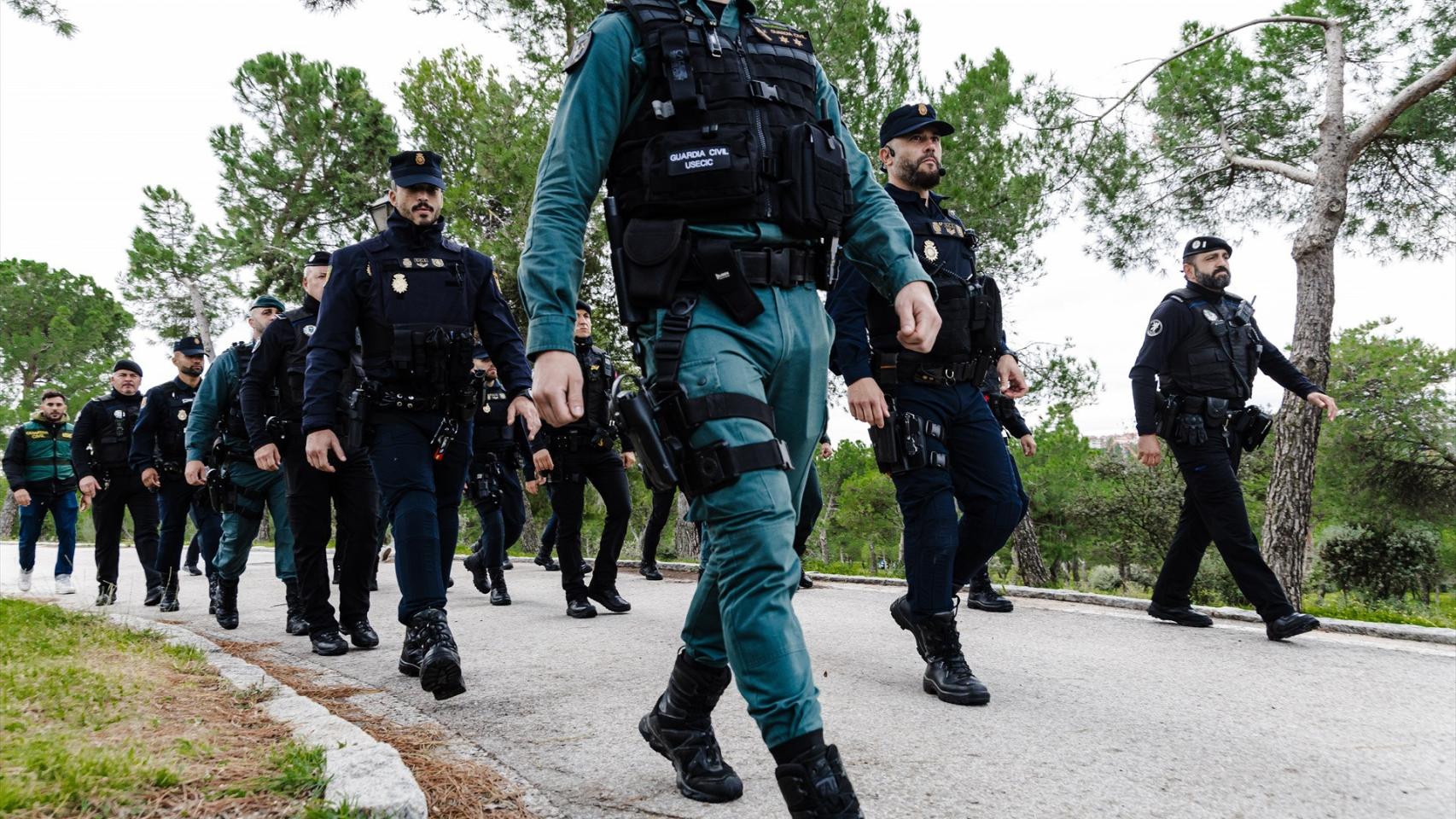 Agentes de la Policía Nacional y la Guardia Civil.