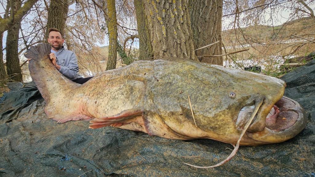 El palentino posando con el siluro gigante