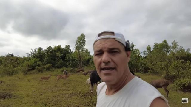 Imagen de Frank de la Jungla.