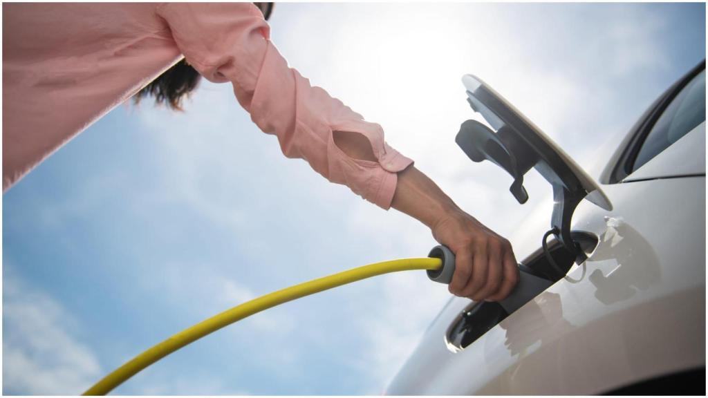 La Asociación del Automóvil Ecológico organiza una exposición en el Marineda City de A Coruña