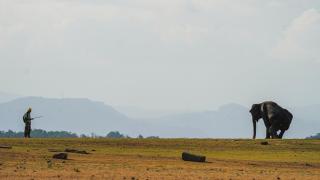 Cuidador de elefantes realizando ejercicios con un elefante discapacitado llamado Namal.