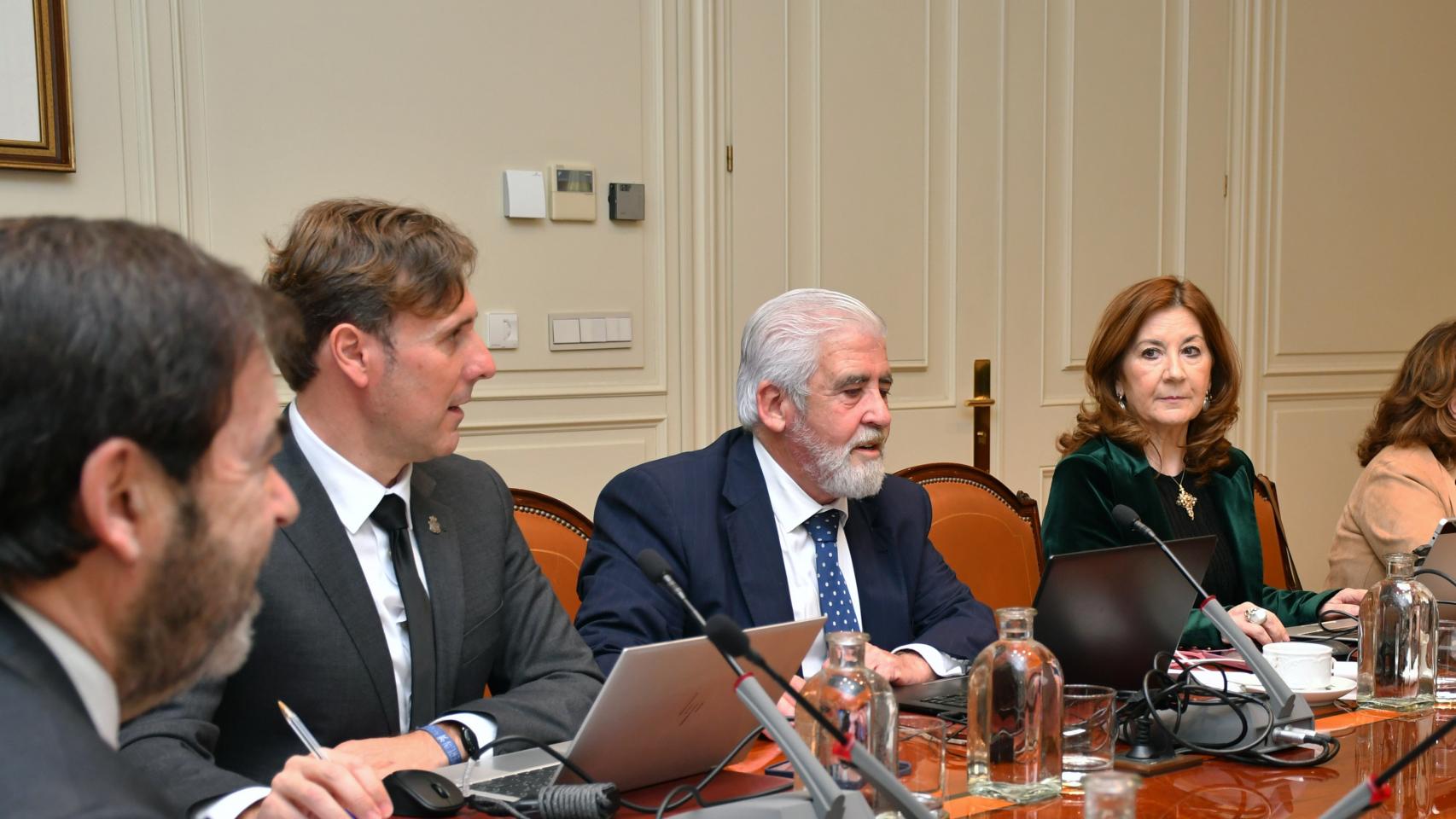 Wenceslao Olea, ponente del dictamen del CGPJ, durante el pleno de este jueves./