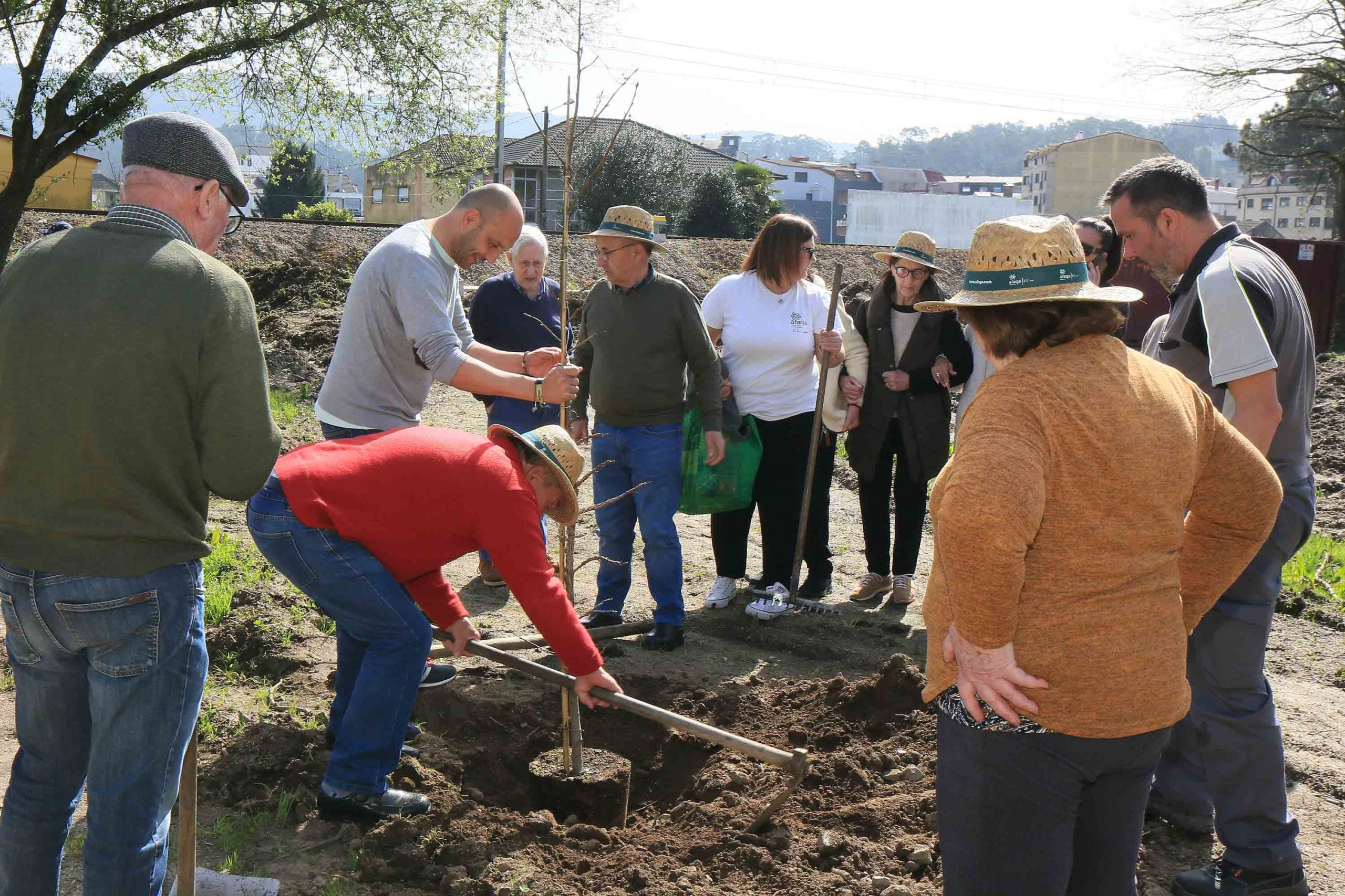 El alcalde de O Porriño, Alejandro Lorenzo, en la plantación por el Día del Árbol.